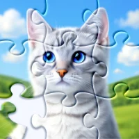Jigsaw Puzzles - Gra w puzzle